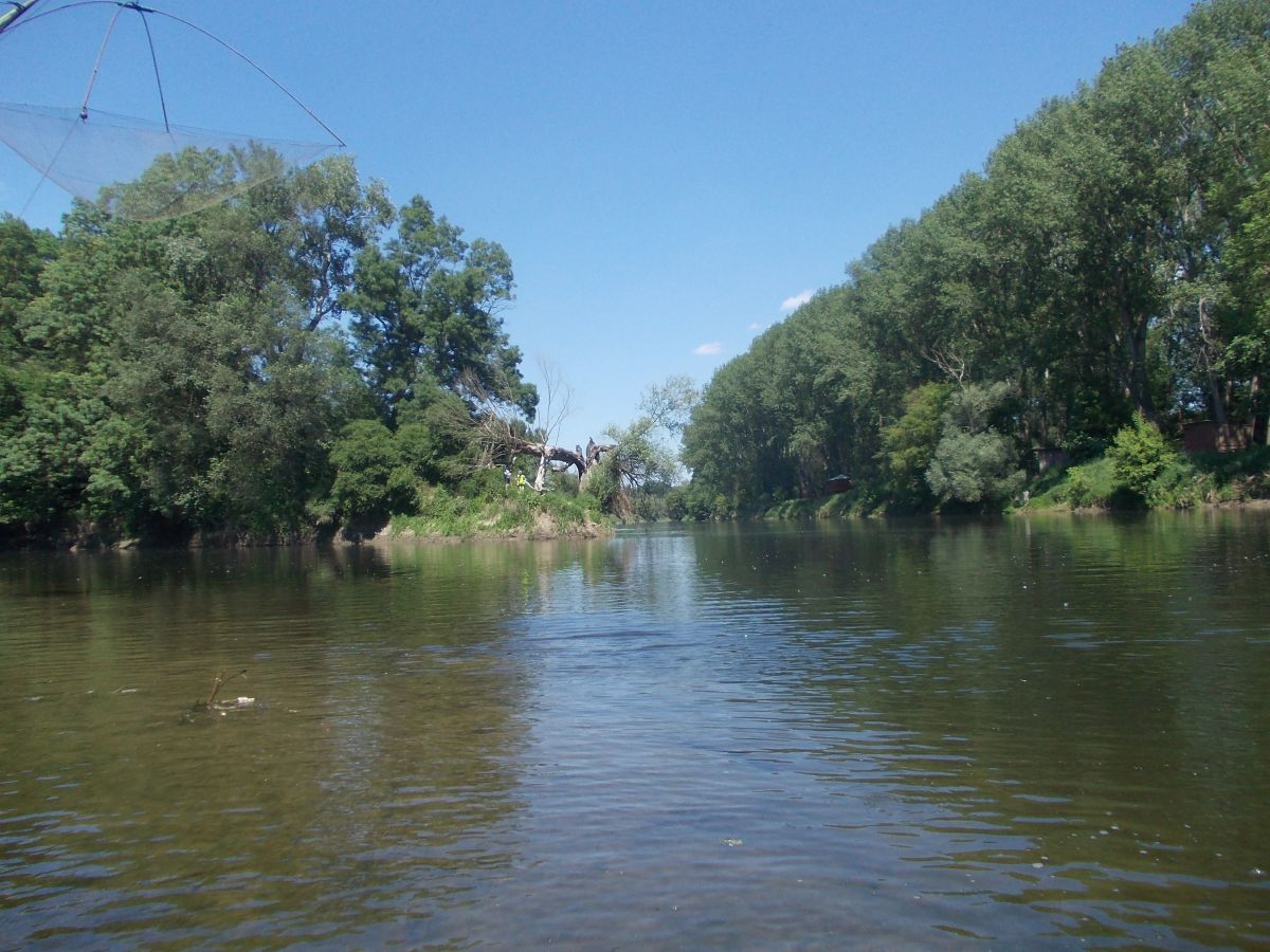 Soutok Dyje a Moravy a zároveň trojmezí ČR, Rakousko, Slovensko. Vlevo ČR