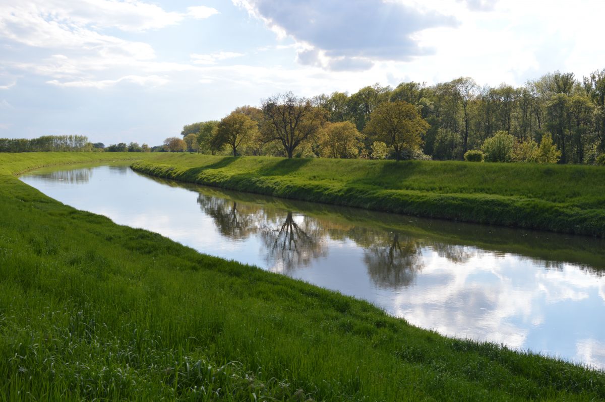 Morava u Veselí