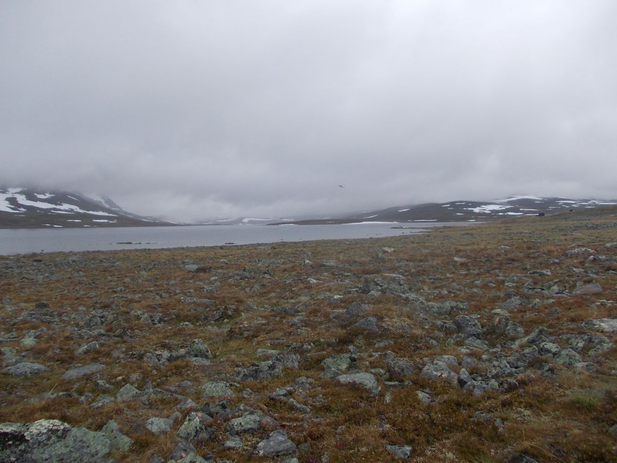 Jezero Pihtsusjärvi v mlze a dešti: počasí na několik příštích dní