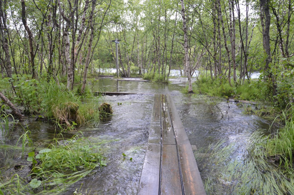 NP Abisko, sice perfektní chodníčky, ale když hodně prší....