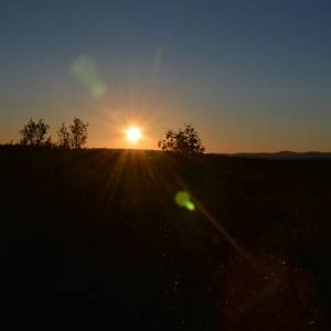 Půlnoční slunce u řeky Čunojohka