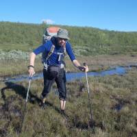 Popis: Brodění bažin