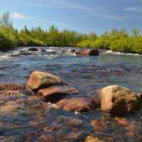 Popis: Řeka Čunojohka