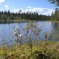 Popis: Národní park Pallas, i zde je spousta jezer