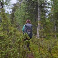 Popis: Hřeben Mustakero, prodírání se už celkem hustým lesem