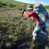 Popis: Janča brodí bažinu