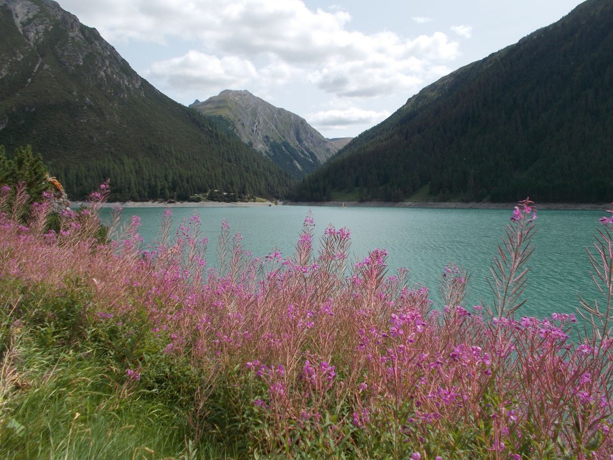 Lago Livigno v Itálie