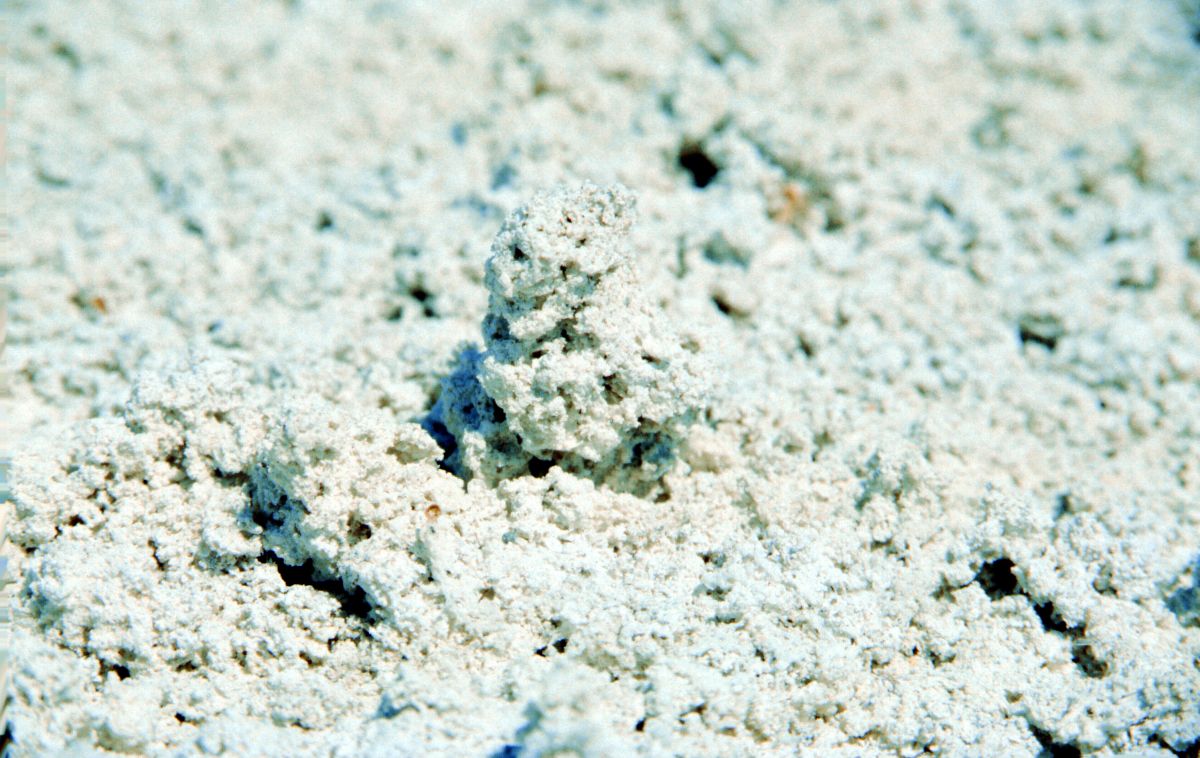 Laguna Verde, vysrážená sůl na břehu