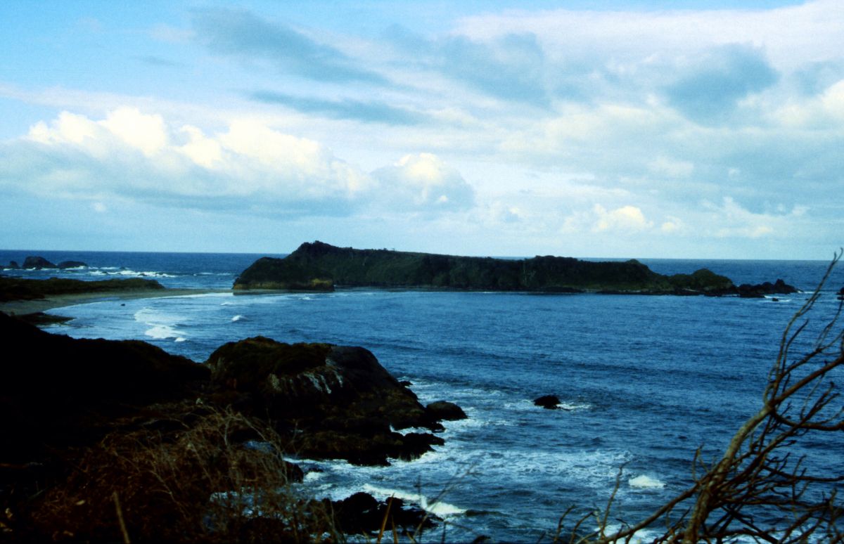 Národní park Chiloe, tučnáčí poloostrov