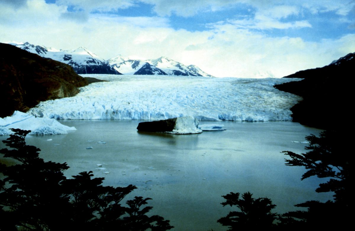 ledovec Grey teče do jezera