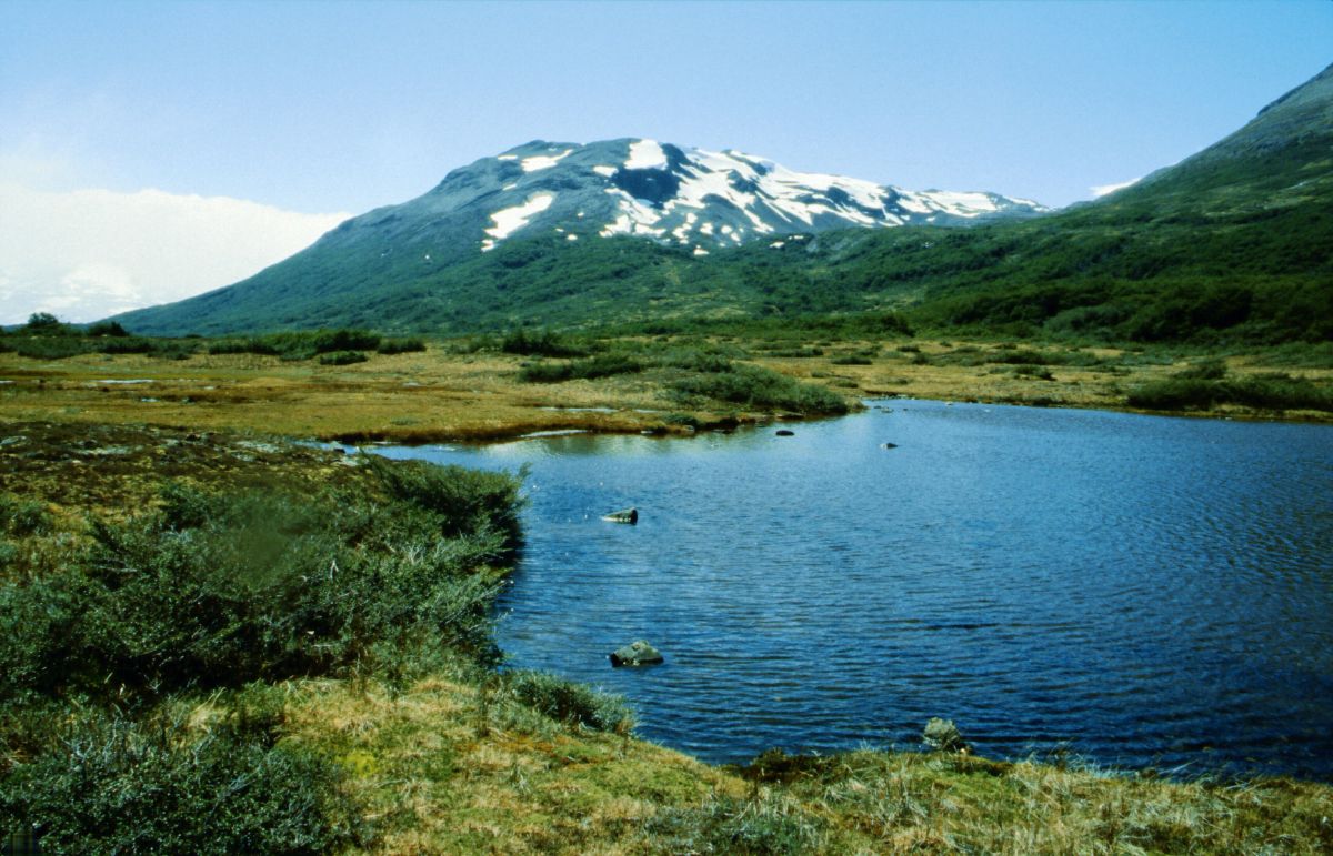 NP Torres del Paine