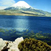 Popis: Lago Chungará (4500 m) a hora Parinacota (6350 m)