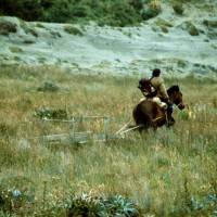 Popis: Saně jako výborný nástroj na písek