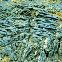 Popis: Lávové pole