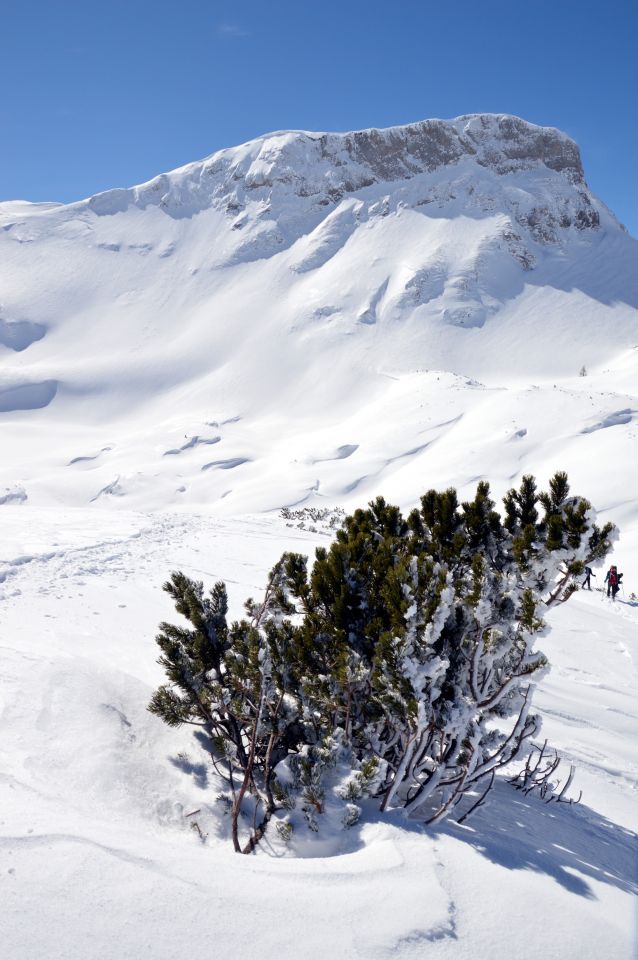 Pohled na Hochkogel