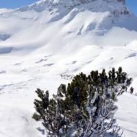 Popis: Pohled na Hochkogel