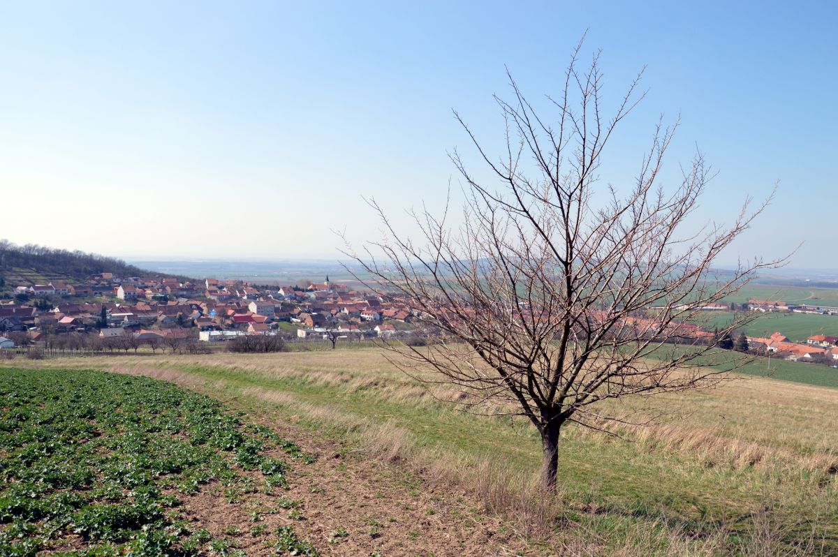 Jihomoravská víska Křepice