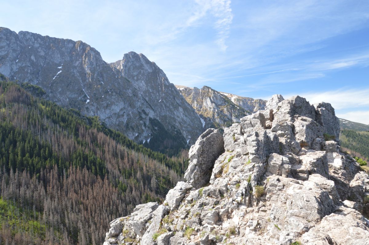 Giewont ze Sarnie skály