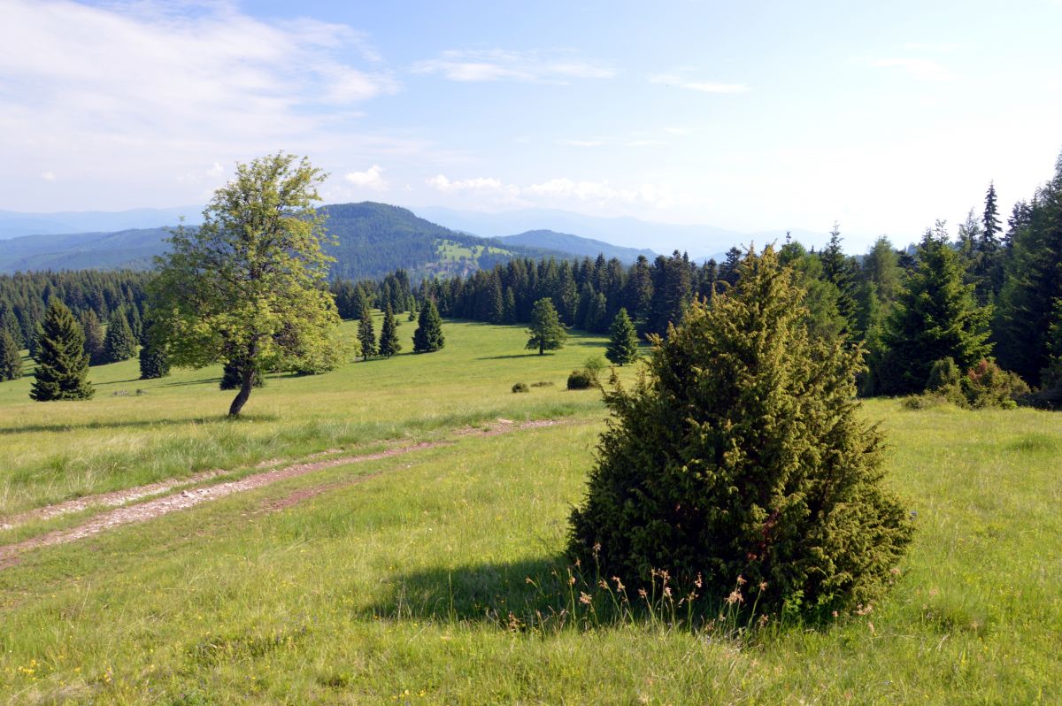 Krásný výhled z Ľubietovske Bukoviny