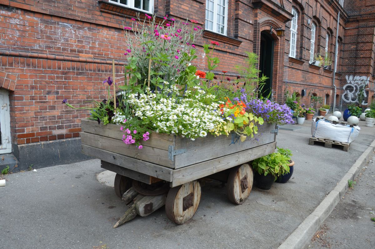 Kodaň, Christianie, vždy originální nápady na květináče