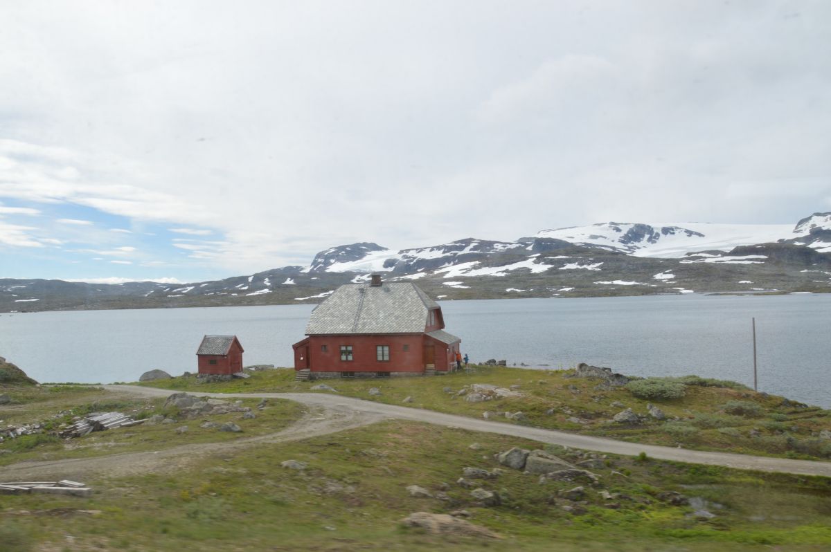 Z vlaku Oslo-Bergen, Hardangervidda (u Finse)