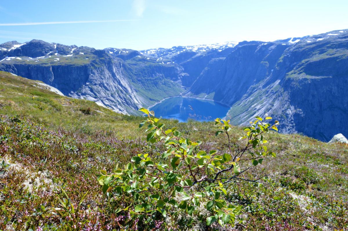 Blížíme se na Trolltungu, přehrada Ringedalsvatnet