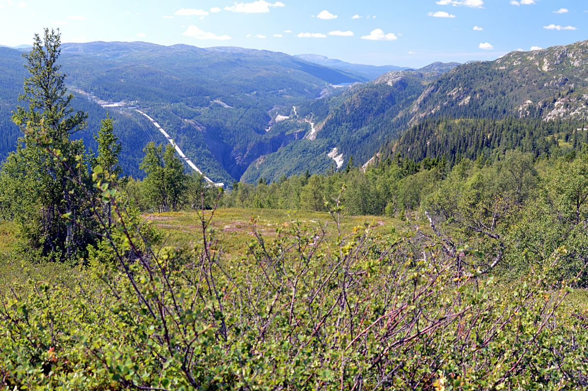Vestfjorddalen u Rjukanu, jižní konec Hardangerviddy