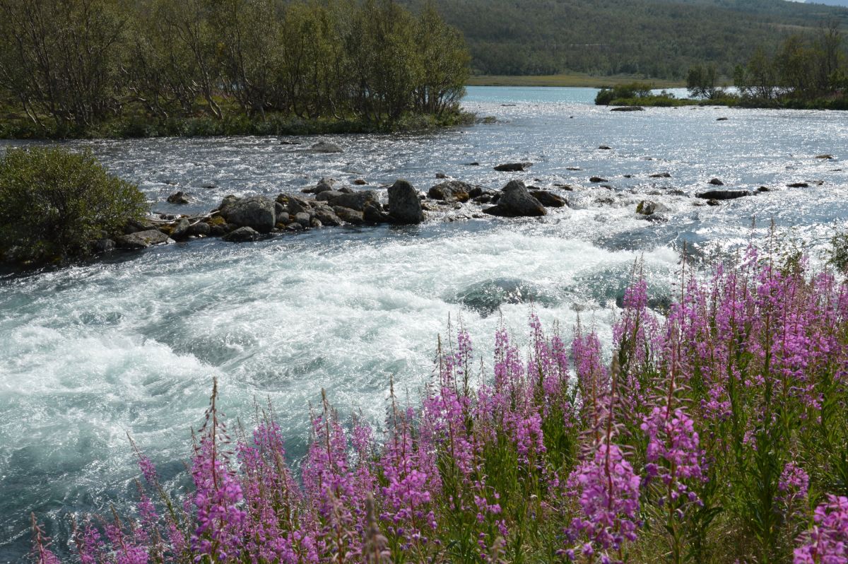 Sjoa pod jezerem Gjende, loučení s Jotunheimenem