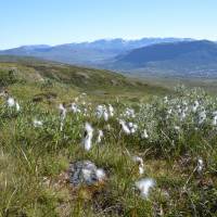 Popis: Údolí Sysedalen a Hardangerviddský ledovec