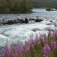 Popis: Sjoa pod jezerem Gjende, loučení s Jotunheimenem