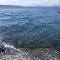 Popis: Oslo, ostrov Langøyene koupačka v moři