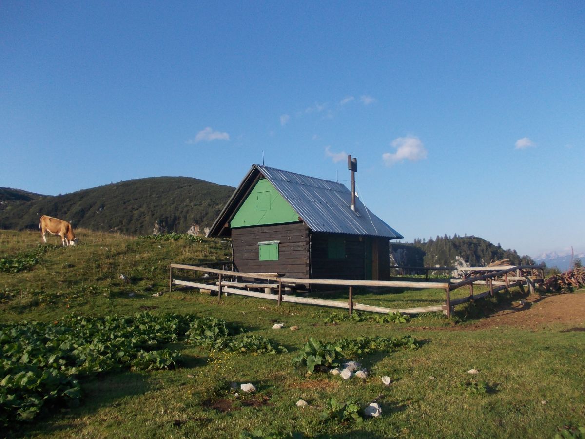 Planina Seča, ohrádka kde jsme tábořili schovaní před krávami