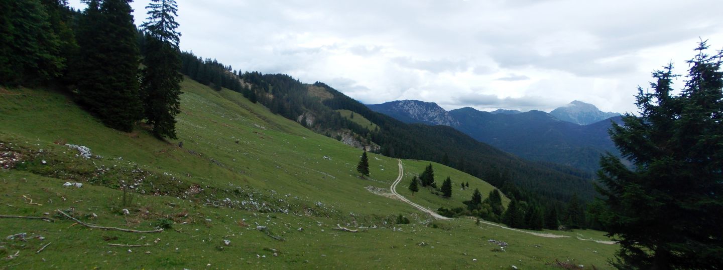 Na severních svazích hřebene Košuta