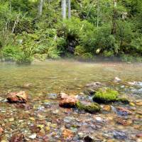 Popis: Vyvěračka Kamnišké Bistrice (ráno v oparu a před deštěm)