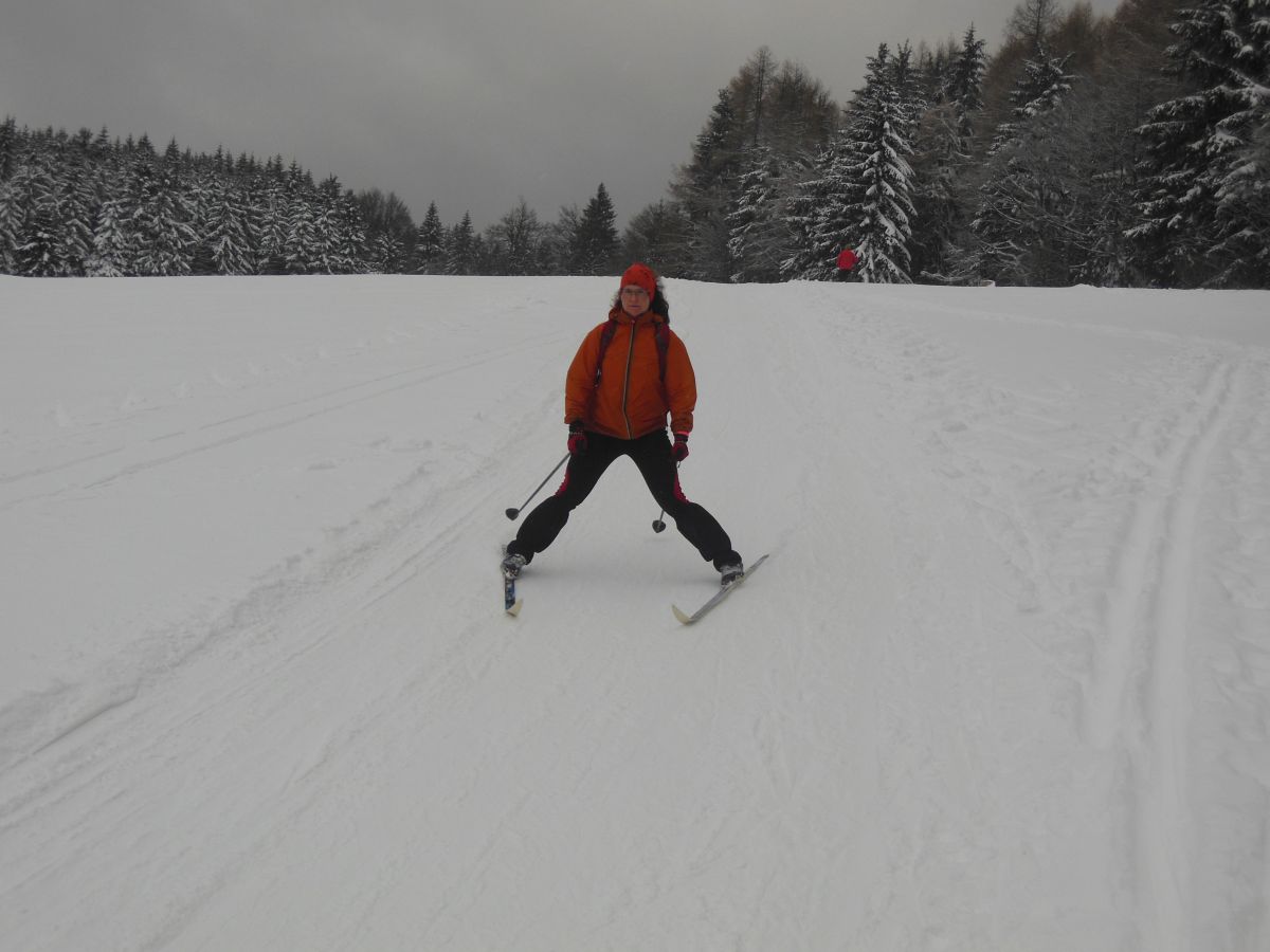 Vysočina, Novoměstsko