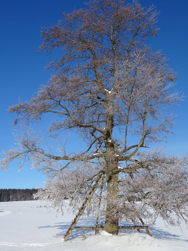 Vysočina, Žďársko