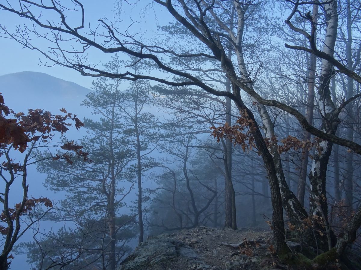 Výstup od Starého hradu, těsně nad mraky