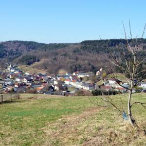 Krajina pohoří Günser Gebirge, lesy, louky, sady (pohled na ves Goberling)