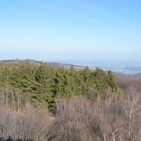 Popis: Výhlled z Geschriebensteinu (Írott-kő), 884 m