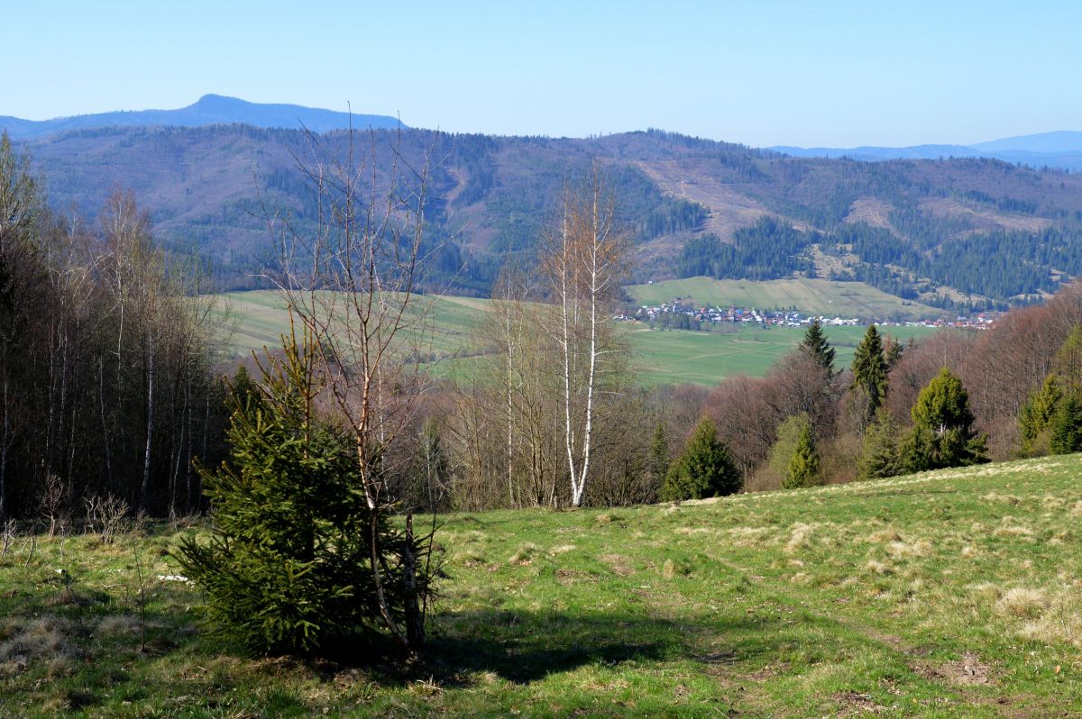 Pohronská Polhora a vzadu vlevo Klenovský Vepor