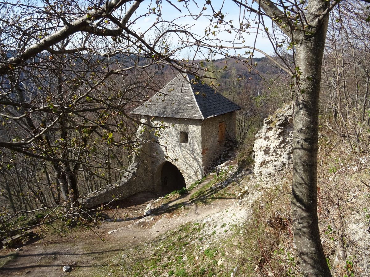 Muránský hrad