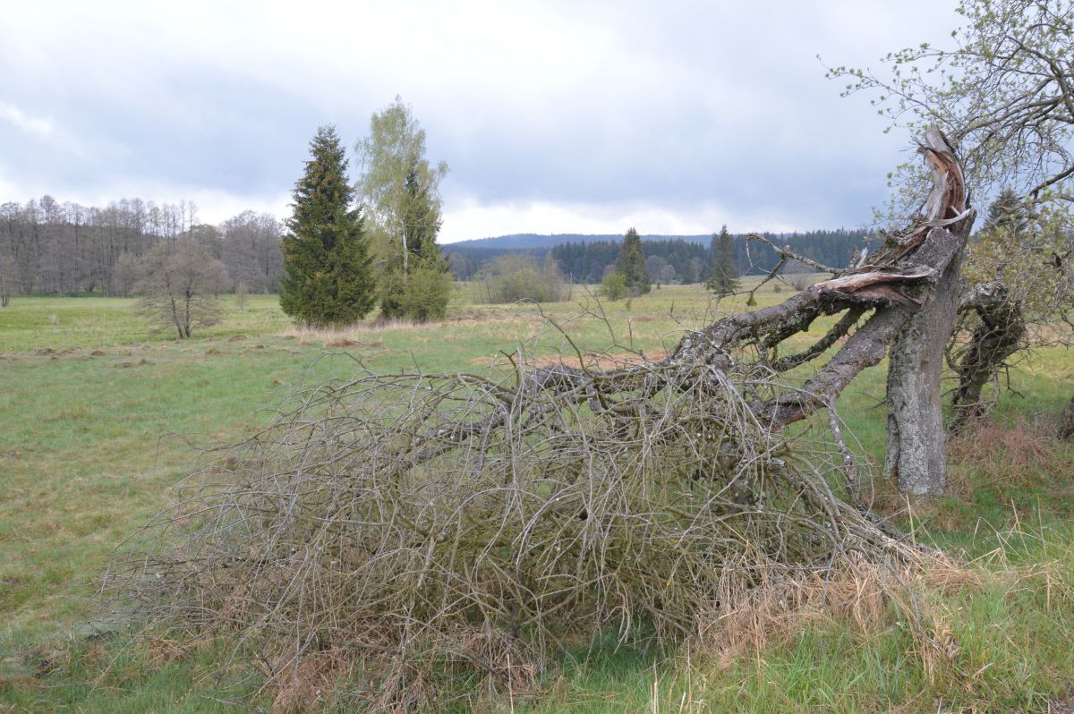 V ex-vojenském prostoru: dopadová plocha Padrť