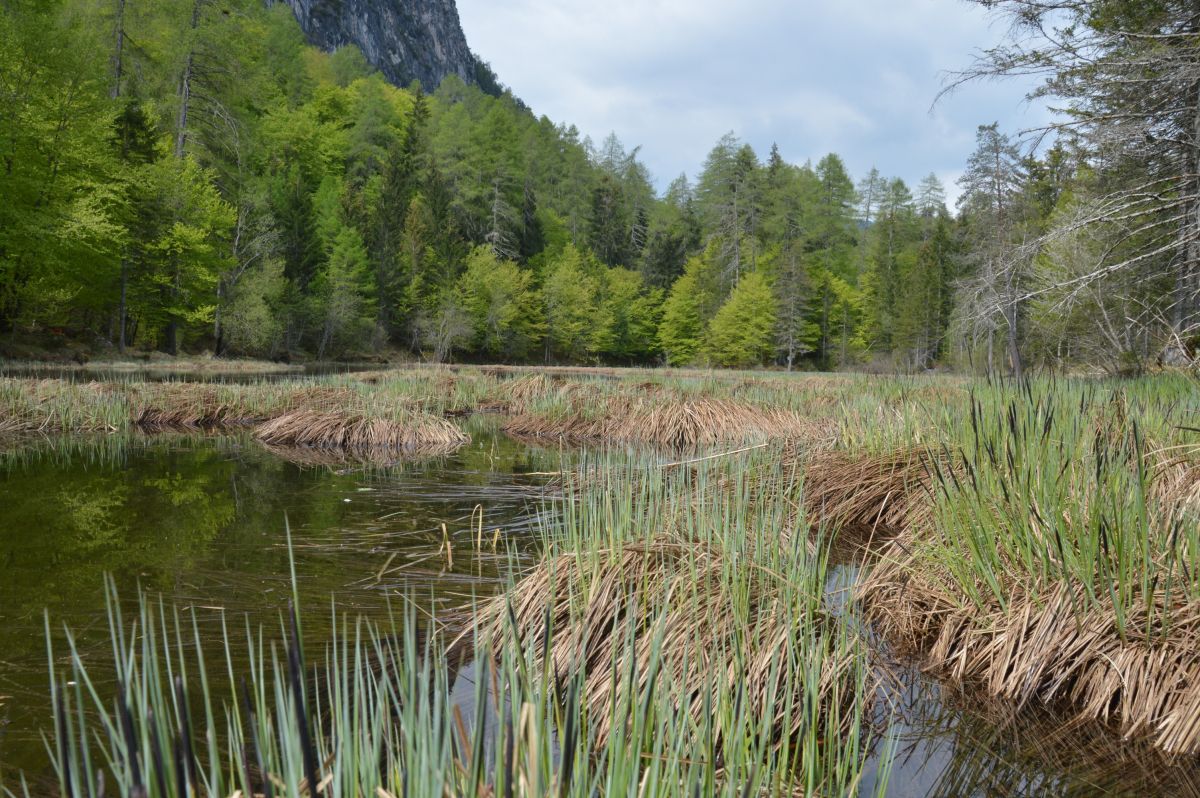 Jezírko vedle Tristacher See