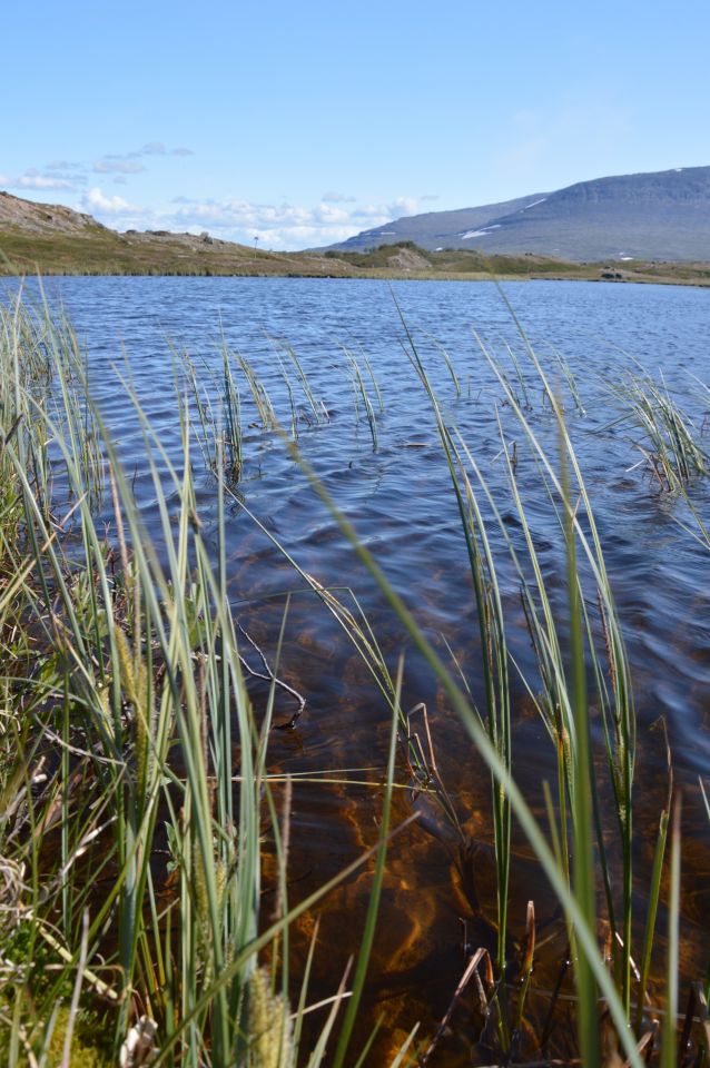 Jämtlandsfjällen, Miesehketjahke