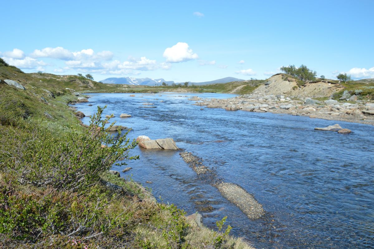 Jämtlandsfjällen, u říčky Handölan