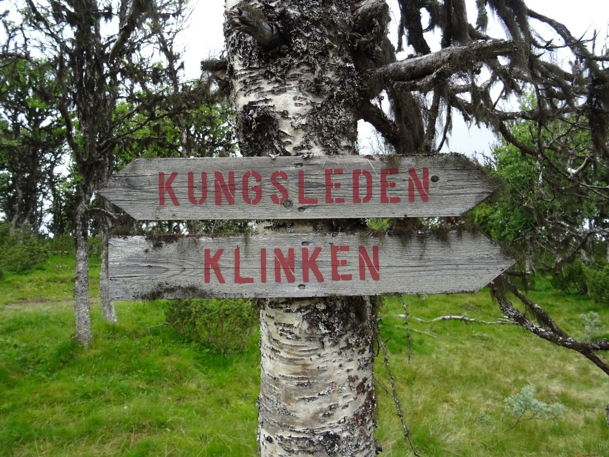 Nad Fjällnäs v březovém lese, první cedule s nápisem Kungsleden
