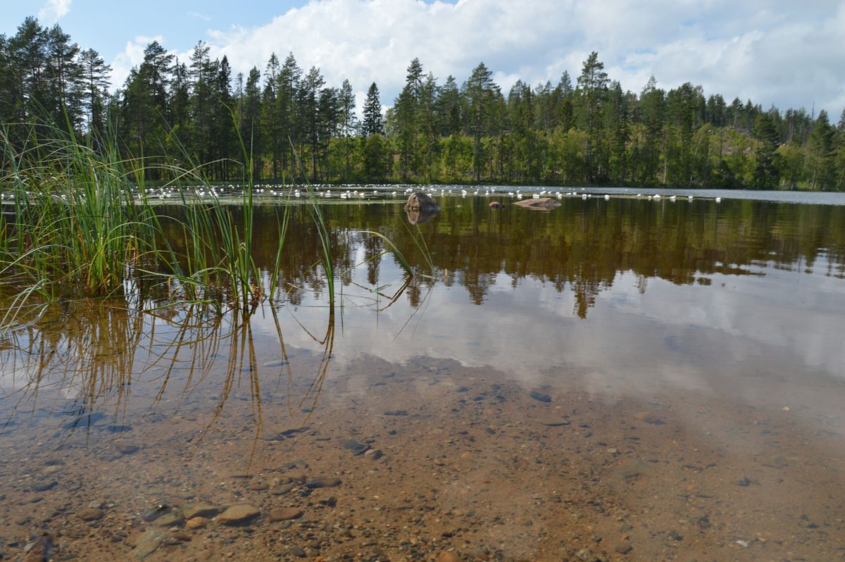 Krásné jezero Mäjasjön