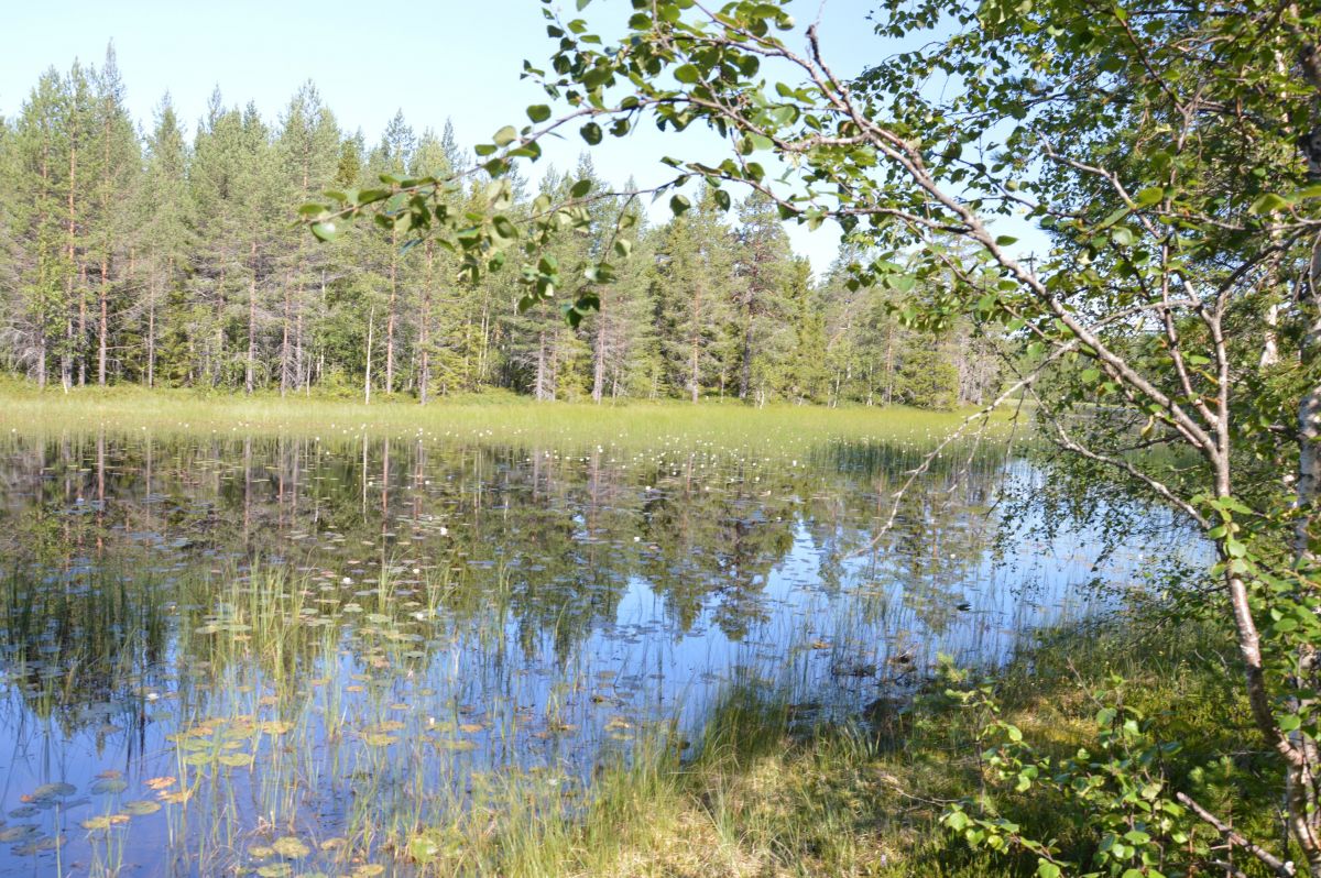 Jezero Smatjarnarna