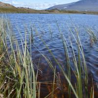 Popis: Jämtlandsfjällen, Miesehketjahke