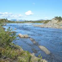 Popis: Jämtlandsfjällen, u říčky Handölan